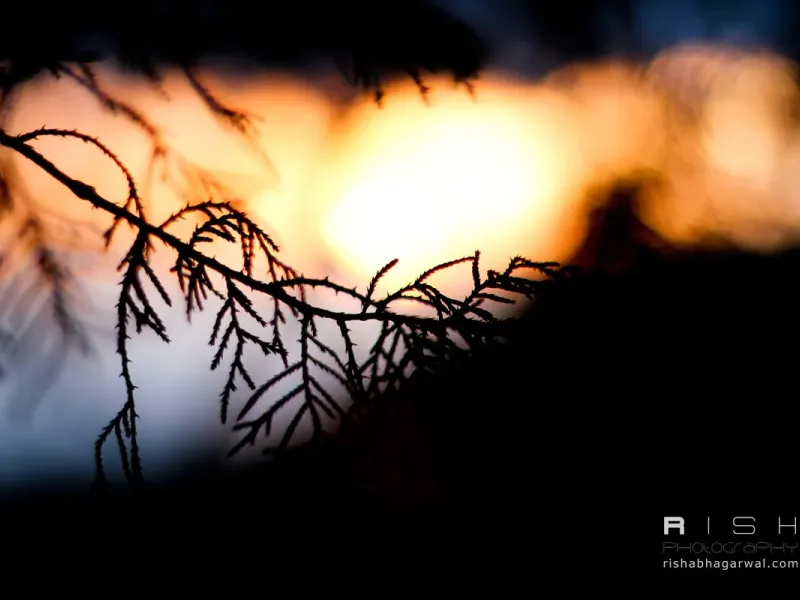 slide for 11 slide for 11