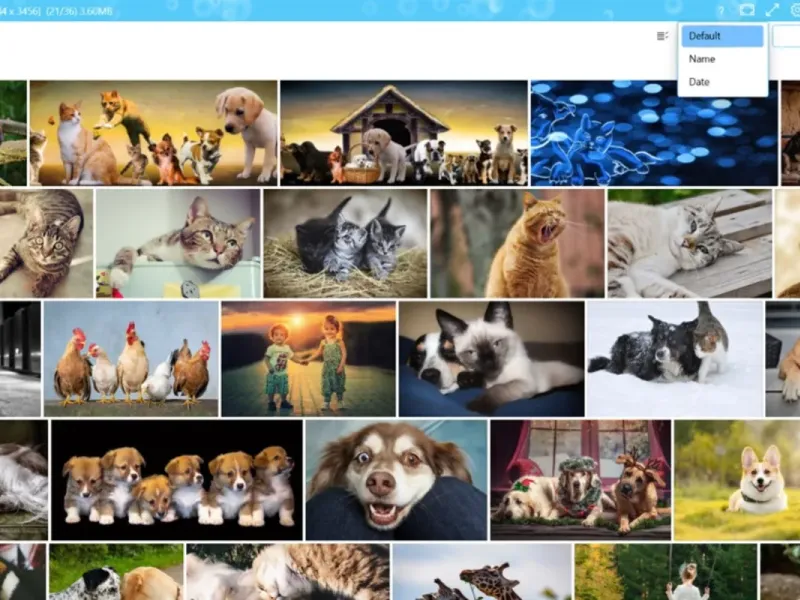 slide for 3 slide for 3