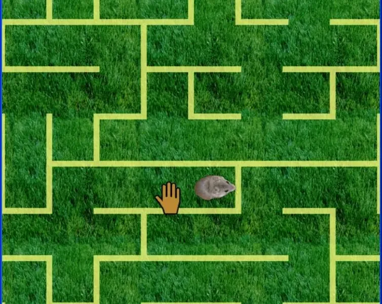 slide for 2 slide for 2