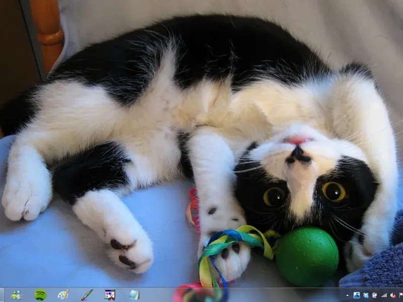 slide for 1 slide for 1