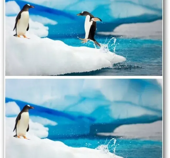 slide for 3 slide for 3