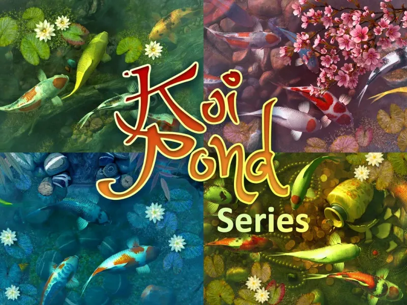 slide for 6 slide for 6