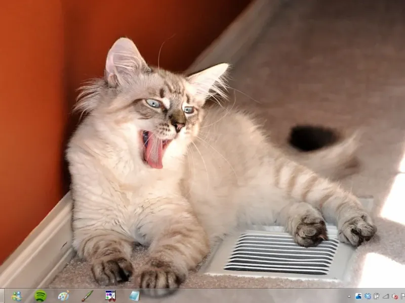 slide for 7 slide for 7