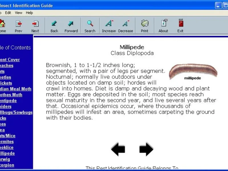 slide for 2 slide for 2