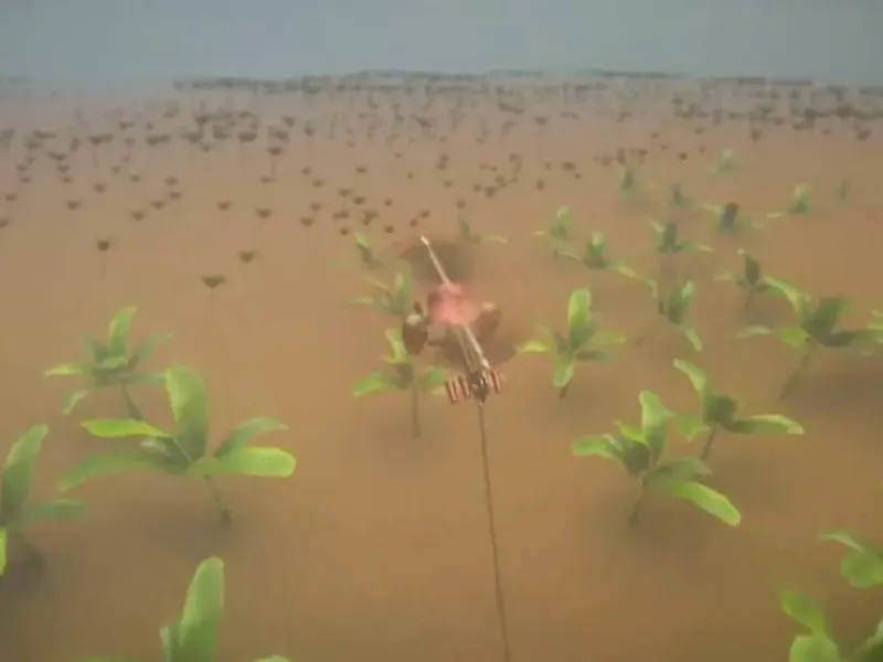 slide for 4 slide for 4