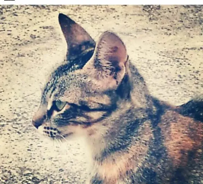 slide for 2 slide for 2