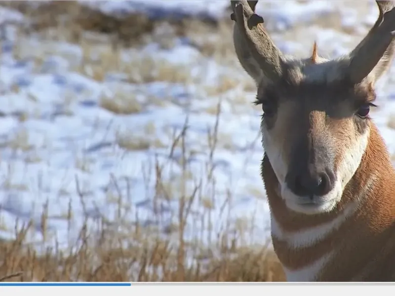 slide for 7 slide for 7