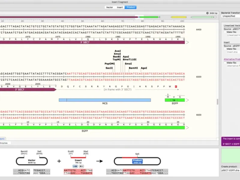 slide for 2 slide for 2