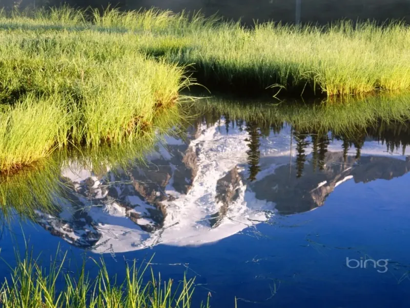 slide for 1 slide for 1