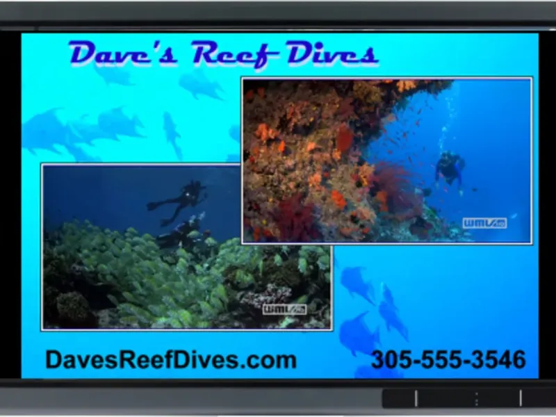 slide for 4 slide for 4