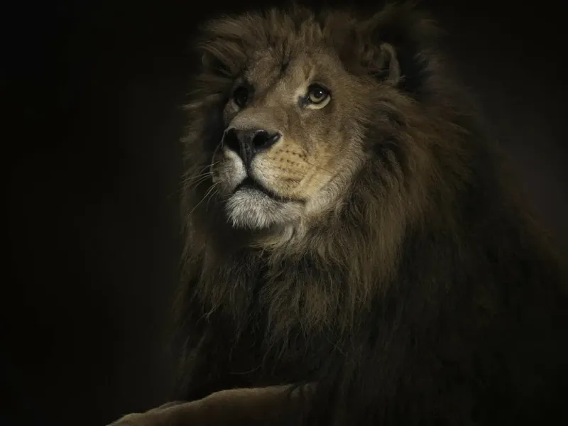 slide for 2 slide for 2