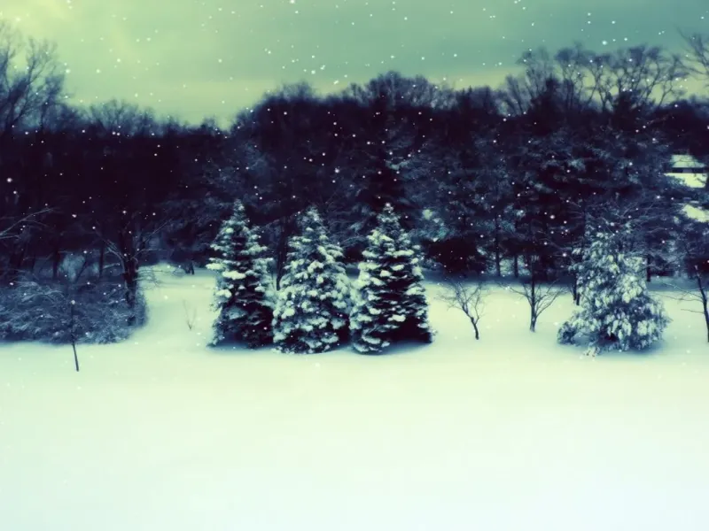 slide for 2 slide for 2