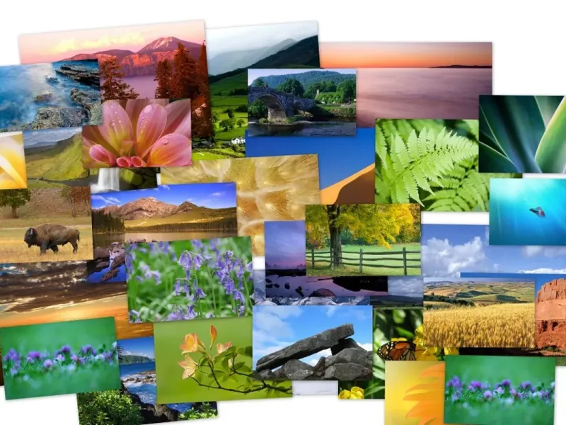 slide for 1 slide for 1