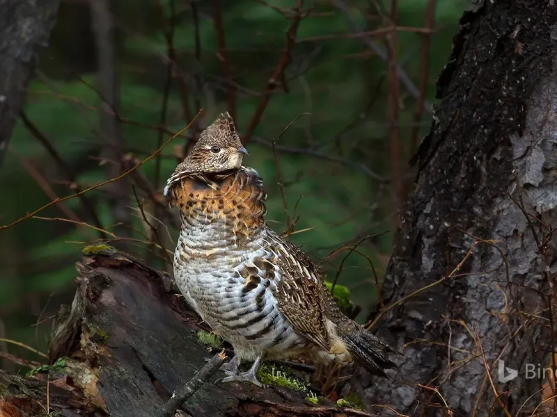 slide for 3 slide for 3