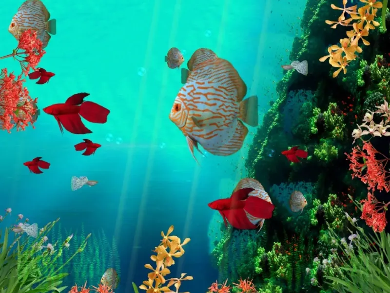 slide for 1 slide for 1