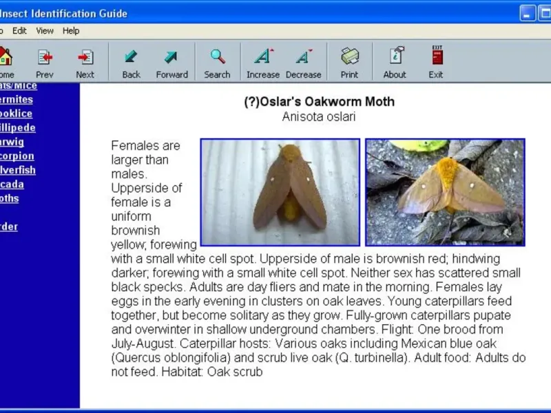 slide for 1 slide for 1