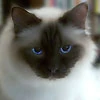 Евгений Т.