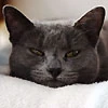 Марина