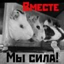 Олег