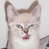 Нина
