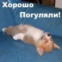 Анна С.