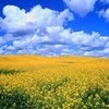 Станислав