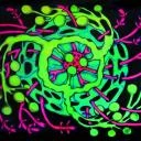Антон Смирнов