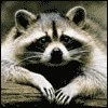 Дмитрий Соловьев