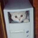 Оля Новикова