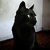 Дмитрий Иванов