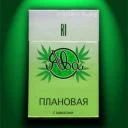 Анна Смирнова