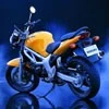 Игорь Васильев